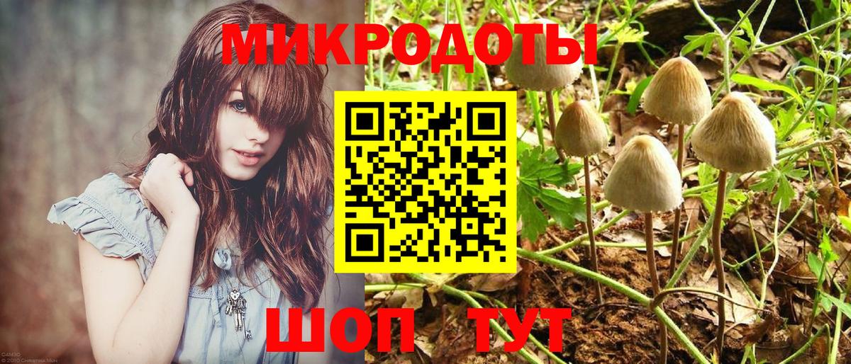 Борзя  Псилоцибиновые грибы Cubensis  Вход с VPN 